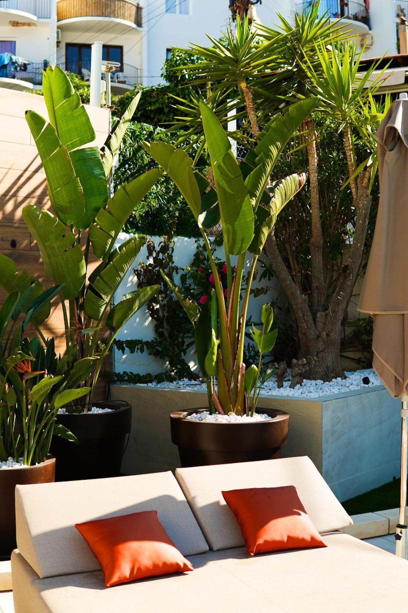 Typic Oasis Sa Tanca Apartment Cala Llonga  Exterior foto